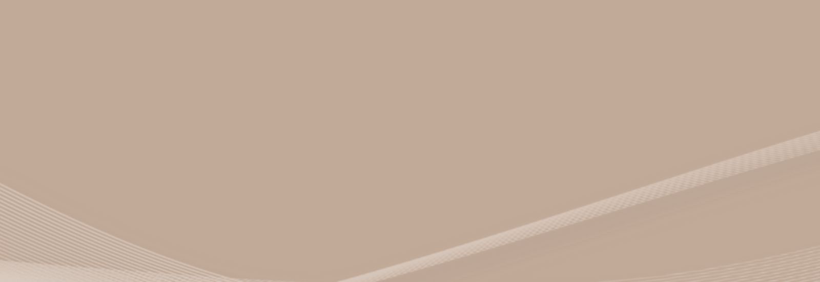 THE TAX BUSINESS LAUNCH PAD